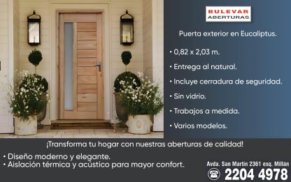 Puerta exterior de Eucaliptus c/ vidrio.
